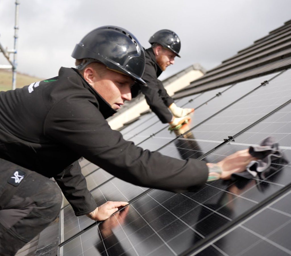 Solar Panel Bird Proofing