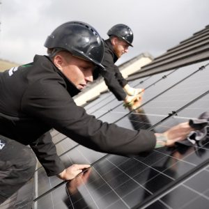 Solar Panel Bird Proofing